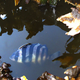 Illustration for article titled This Fish Sailed From Japan to Washington on an Unmanned Tsunami Boat